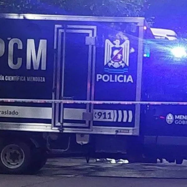 Una mujer y su nieto murieron tras caer a un pozo séptico en Guaymallén
