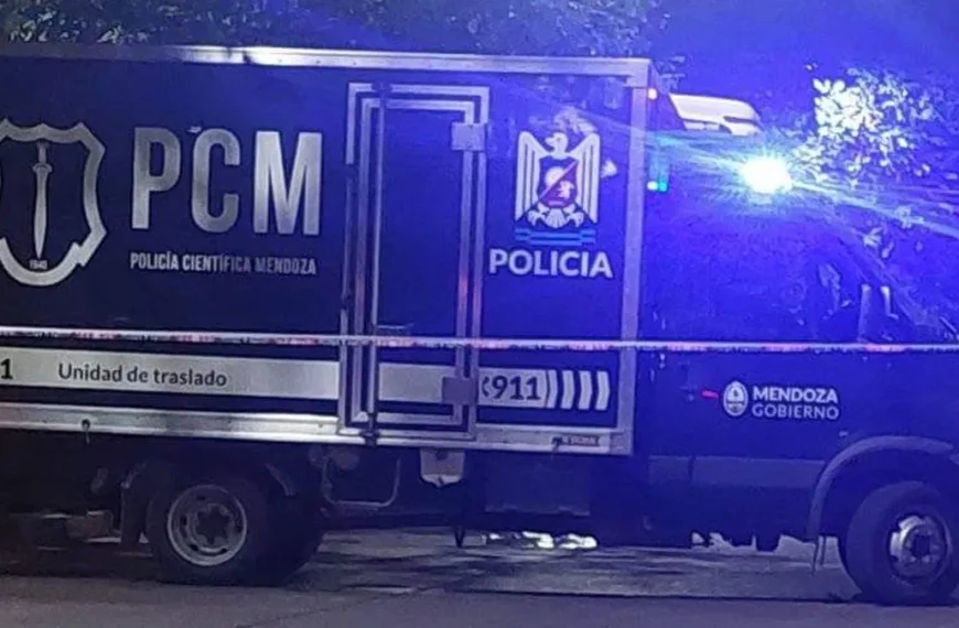 Una mujer y su nieto murieron tras caer a un pozo séptico en Guaymallén