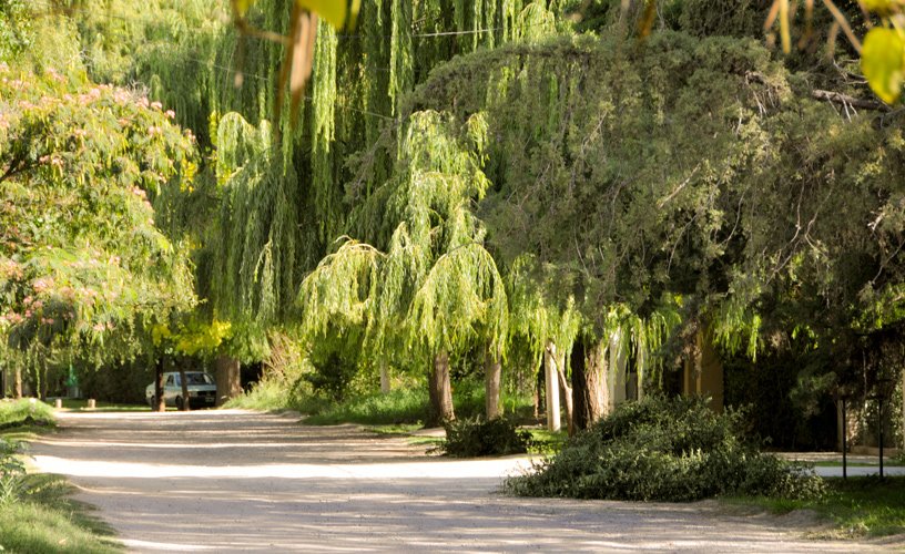 Golpearon, amenazaron y ataron a un vecino de Chacras de Coria para robarle su vehículo y varios elementos