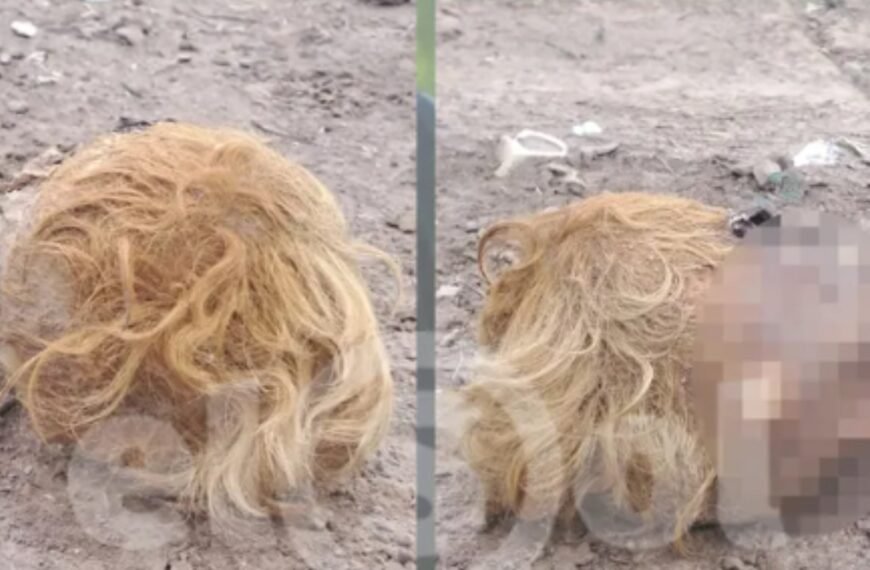 ¿Homicidio? Cómo sigue la investigación después del hallazgo de una cabeza en Las Heras