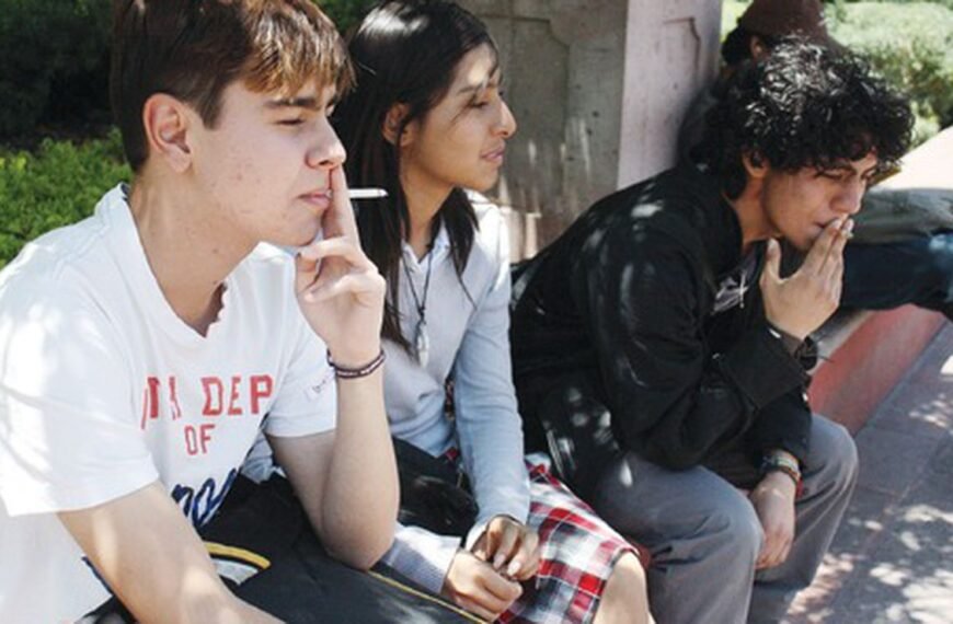 El Concejo Deliberante de la capital de Mendoza prohibió fumar en plazas, parques y cerca de los colegios