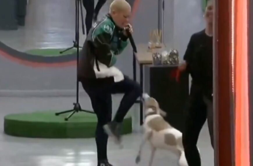 -VIDEO- La patada que le dio «Furia» al perro de Gran Hermano y que el canal no difundió