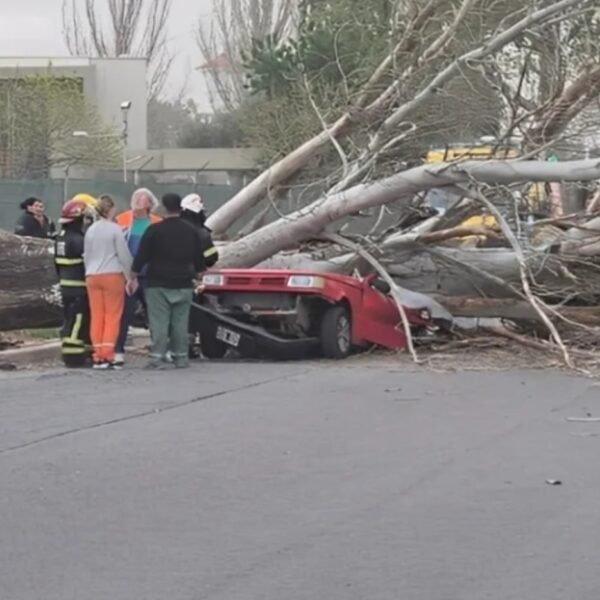 Una mujer fallecida, heridos y más de 400 incidentes por el viento que azotó a Mendoza