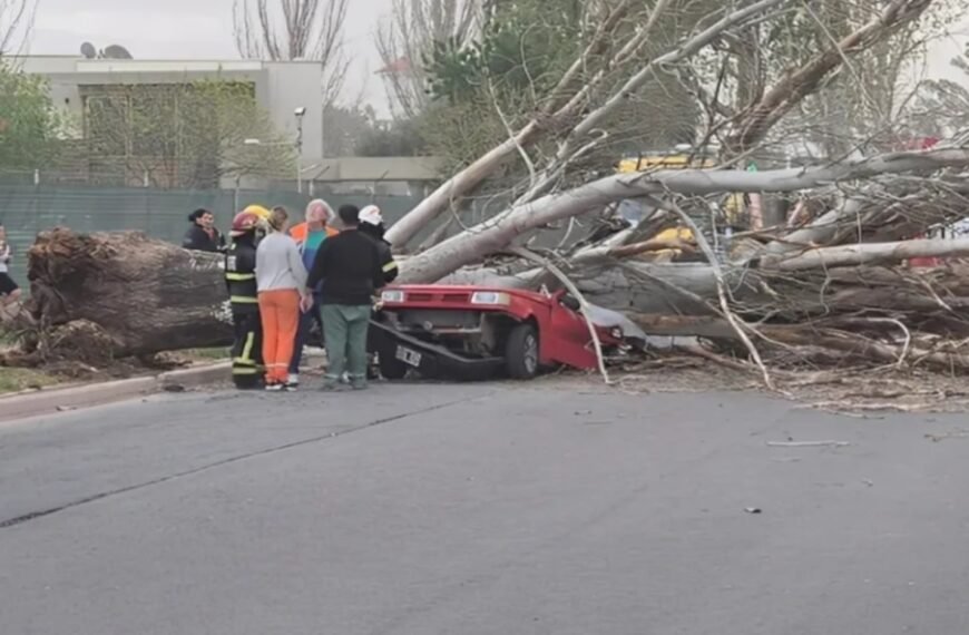 Una mujer fallecida, heridos y más de 400 incidentes por el viento que azotó a Mendoza
