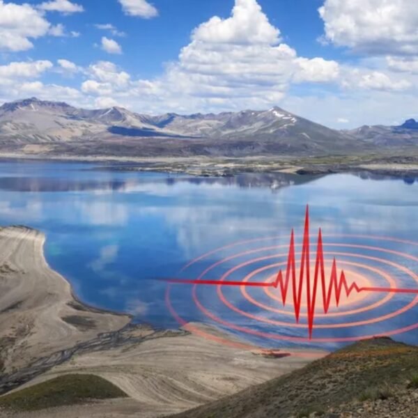 Detectaron actividad volcánica en la cordillera y advierten a la población estar informados