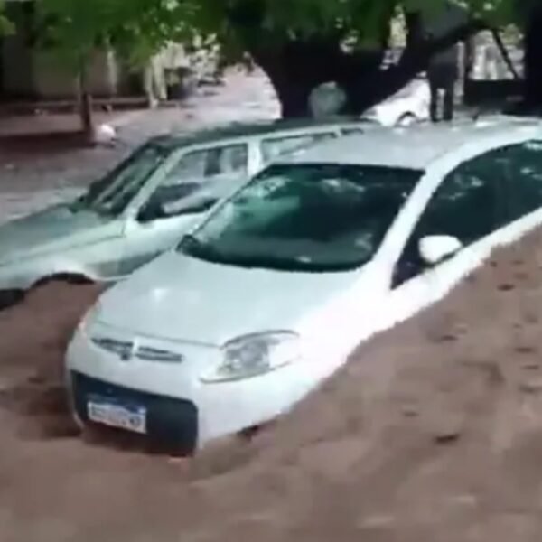 Los videos de los desastres que provocó la gran tormenta en Mendoza