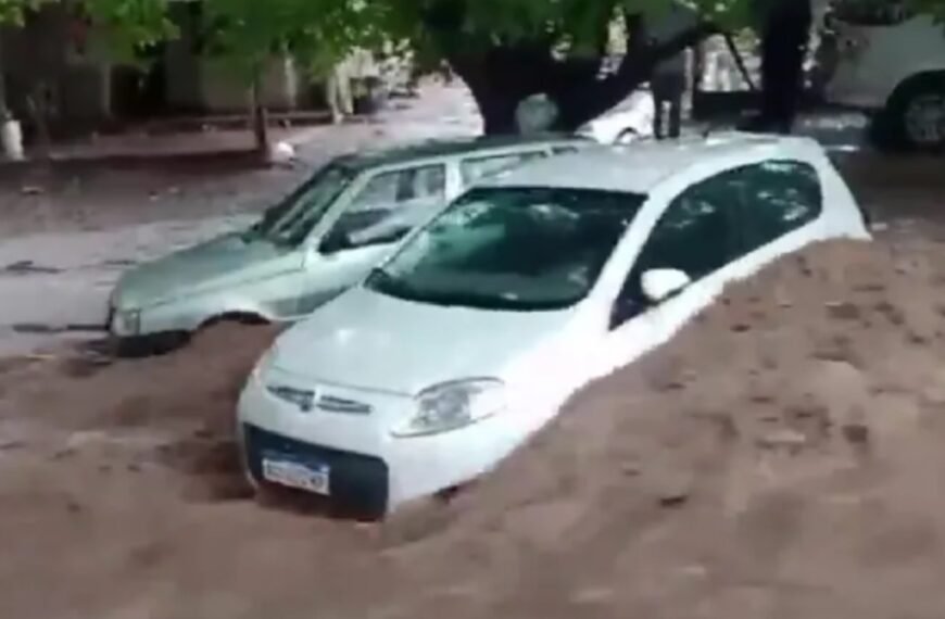 Los videos de los desastres que provocó la gran tormenta en Mendoza