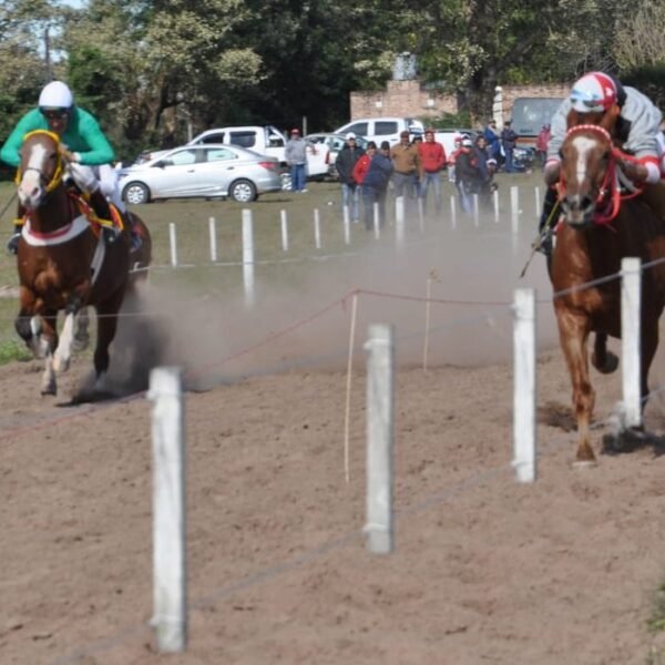 Una diputada presentó un proyecto de Ley para prohibir las jineteadas y carreras cuadreras