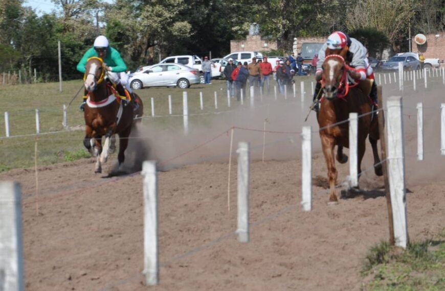 Una diputada presentó un proyecto de Ley para prohibir las jineteadas y carreras cuadreras