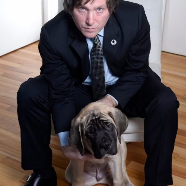 Murió Robert, el perro de U$S 50.000 de Javier Milei que era el clon de Conan