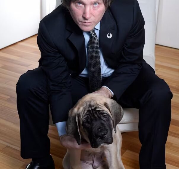 Murió Robert, el perro de U$S 50.000 de Javier Milei que era el clon de Conan