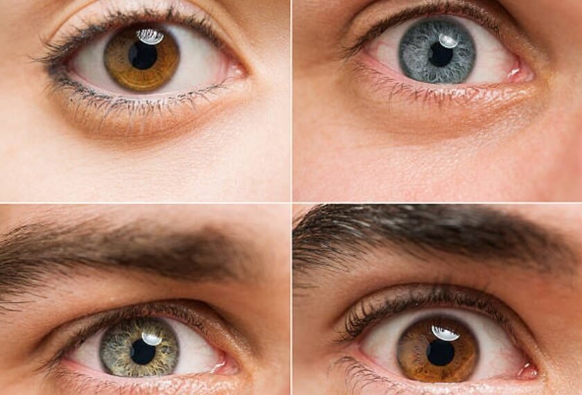 Los colores de los ojos más comunes y los más raros en todo el mundo: la composición global