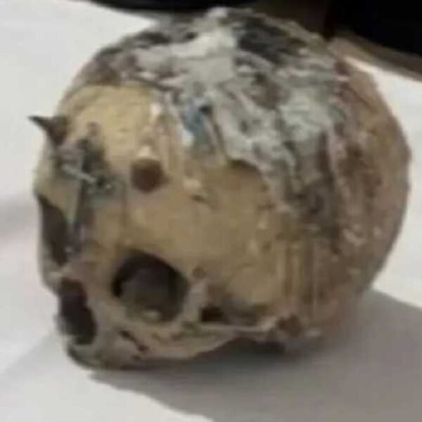 Allanamiento por drogas y un macabro hallazgo: encontraron diez cráneos y uno de ellos con cuernos y un crucifijo clavado