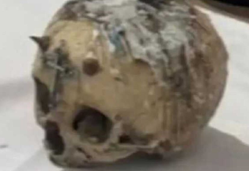 Allanamiento por drogas y un macabro hallazgo: encontraron diez cráneos y uno de ellos con cuernos y un crucifijo clavado