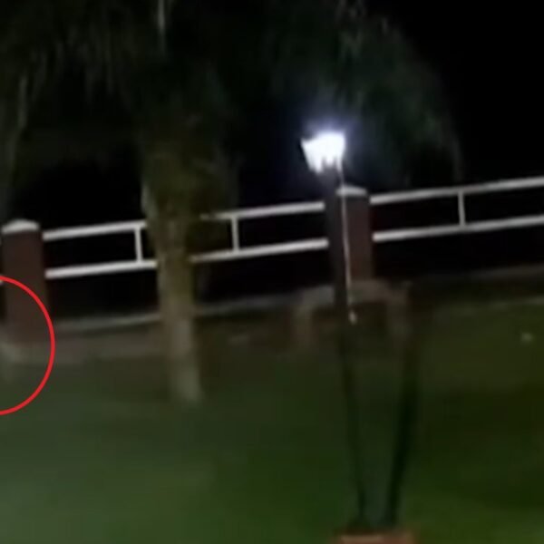 Apareció un “fantasma” durante la transmisión en vivo y dejó a todos sin palabras: «¿qué es esto?»