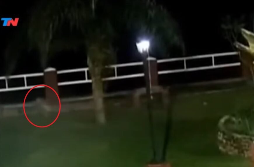 Apareció un “fantasma” durante la transmisión en vivo y dejó a todos sin palabras: «¿qué es esto?»