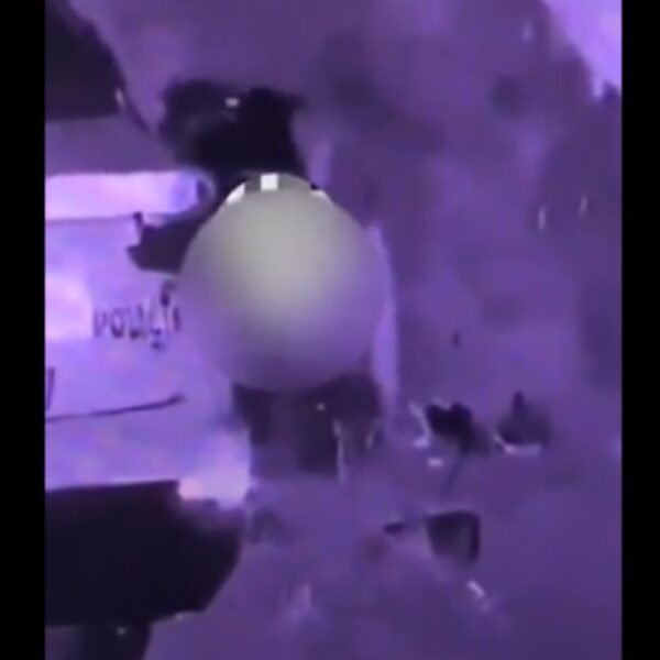 Un policía fue filmado teniendo relaciones sexuales al lado del patrullero y lo echaron de la fuerza