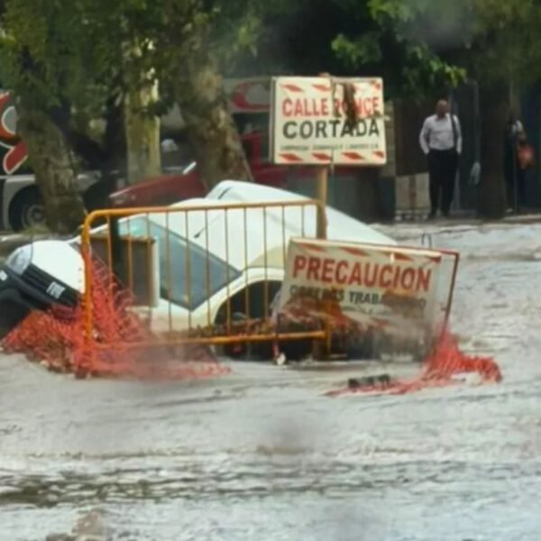 Fuerte tormenta en Mendoza, dejó casas inundadas, caída de árboles y personas rescatadas