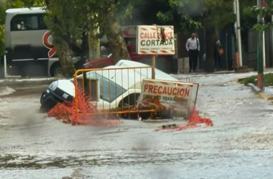 Fuerte tormenta en Mendoza, dejó casas inundadas, caída de árboles y personas rescatadas