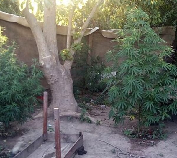 El martirio de unos abuelos por su hijo y nieto adictos