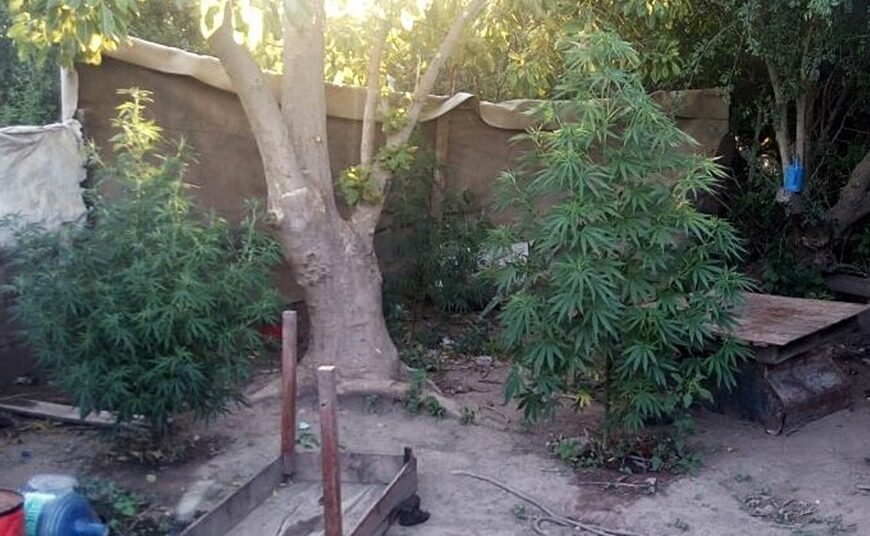 El martirio de unos abuelos por su hijo y nieto adictos