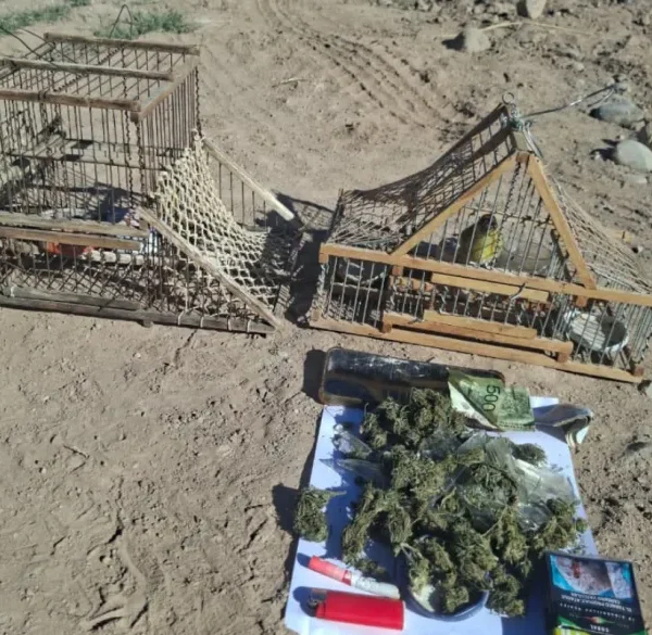 Maipú: escapaban en moto con aves enjauladas y droga, se cayeron y terminaron detenidos