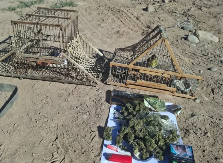 Maipú: escapaban en moto con aves enjauladas y droga, se cayeron y terminaron detenidos