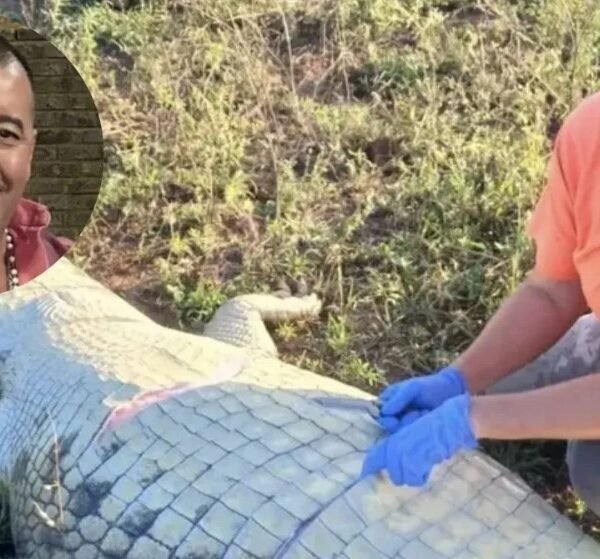 Estaba desaparecido tras una tormenta y lo encontraron adentro de un cocodrilo