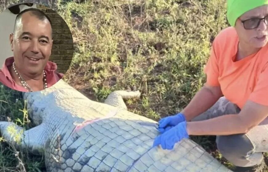 Estaba desaparecido tras una tormenta y lo encontraron adentro de un cocodrilo