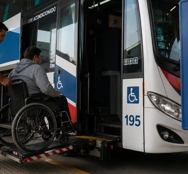 ¿Busca el gobierno de Milei quitar los pasajes gratuitos a los discapacitados?