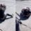 Dos alumnas a la piñas fuera del colegio y la intervención de la Dirección de Escuelas con un protocolo de convivencia: ¿de qué se trata?