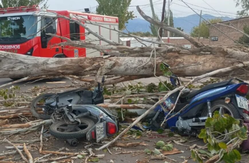 Un hombre murió y otro está grave tras la caída de un árbol por el viento Zonda en Las Heras