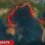Alerta en el mundo: cinco terremotos sacudieron el Cinturón de Fuego del Pacífico en menos de 24 horas, ¿qué está pasando?