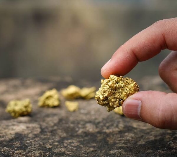 Fiebre del oro: hallaron casi 2 kilos por tonelada en algunas perforaciones en Vicuña