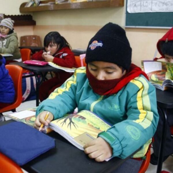 Ola polar: suspendieron las clases en toda la provincia de Mendoza