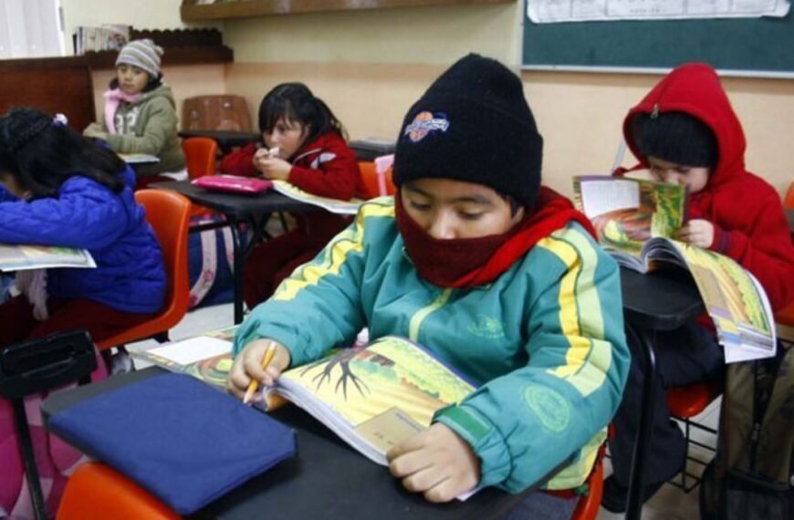 Ola polar: suspendieron las clases en toda la provincia de Mendoza