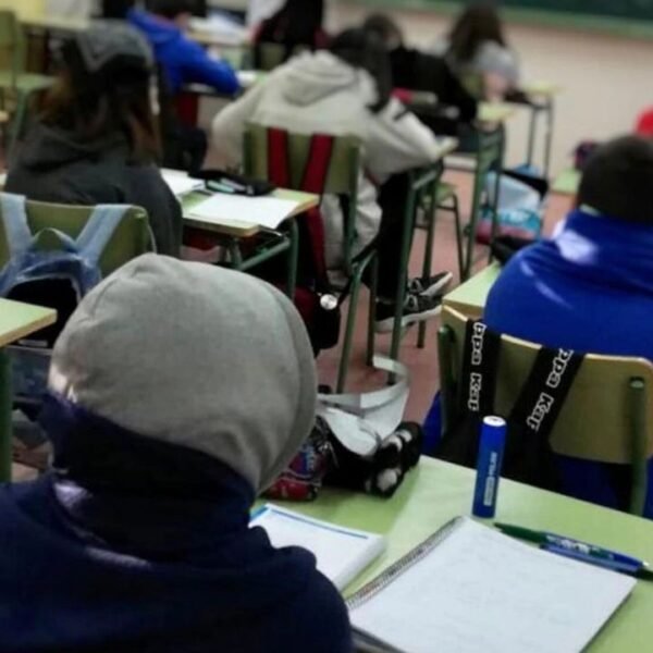 Ola polar en Mendoza: suspenden las clases presenciales este miércoles en Valle de Uco, el Sur y zonas de alta montaña