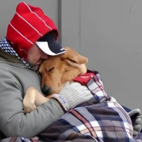 La historia de Juan: murió de frío en Mendoza por no abandonar a su perro