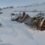 El Paso Cristo Redentor cumplió 20 días cerrado y no hay certeza sobre su reapertura