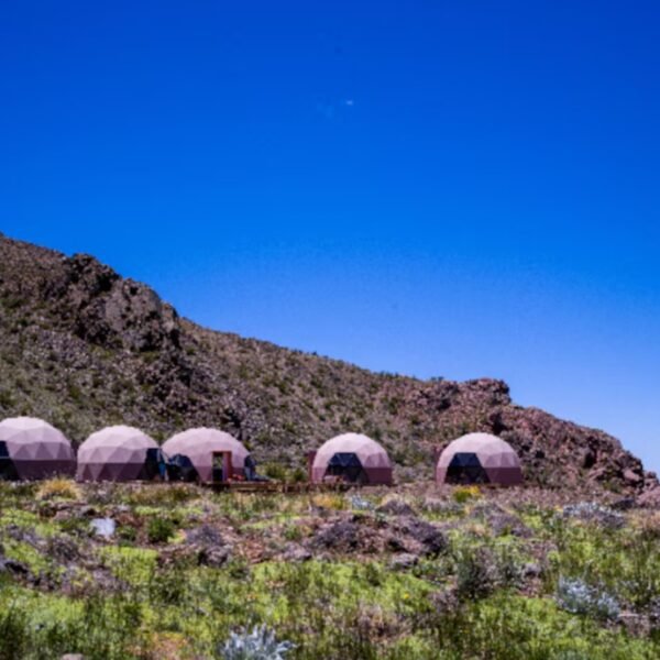 El Financial Times publicó la finca en Mendoza en la que CEOs y millonarios de empresas tecnológicas planean enfrentar un posible “apocalipsis” y guerra nuclear