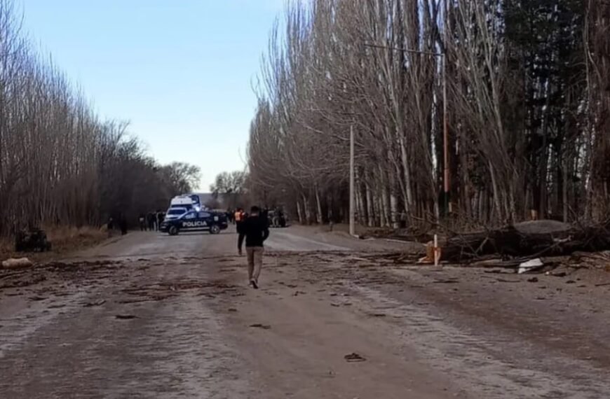 San Carlos: un árbol cayó sobre una camioneta y provocó la muerte de dos personas