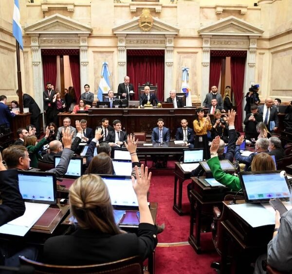 El Senado aprobó la ley de propiedad privada