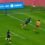 A puro corazón: Los Pumas empataron con Australia 28 a 28 en el Malvinas Argentinas