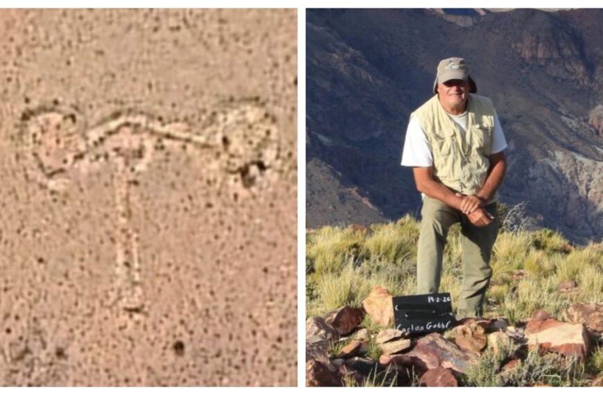Visible desde satélites: encuentran una estructura ancestral única en Sudamérica en plena cordillera mendocina