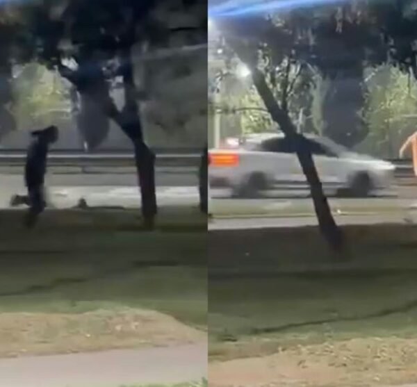 Pidieron una cadena de oración por el chico de 13 años atropellado frente al Shopping