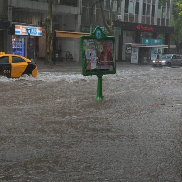 El Gobierno declaró la emergencia climática ante el «Súper Niño»: cuánto durará y qué medidas contempla