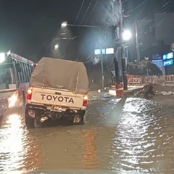 En apenas 4 días, las lluvias triplicaron el promedio mensual en algunos sectores de Mendoza