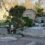 La aterradora foto sacada por el empleado de un cementerio: encontró un cadáver desenterrado y sentado en su tumba